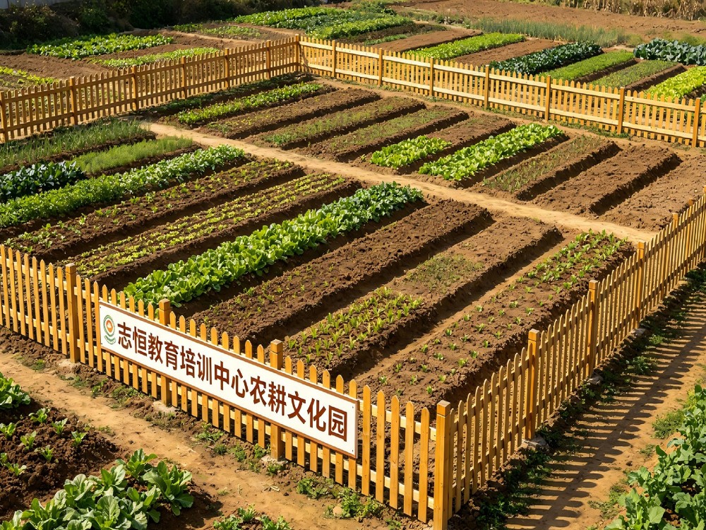 汕头有实力的叛逆孩子管教学校怎么选？这些判断标准值得家长收藏